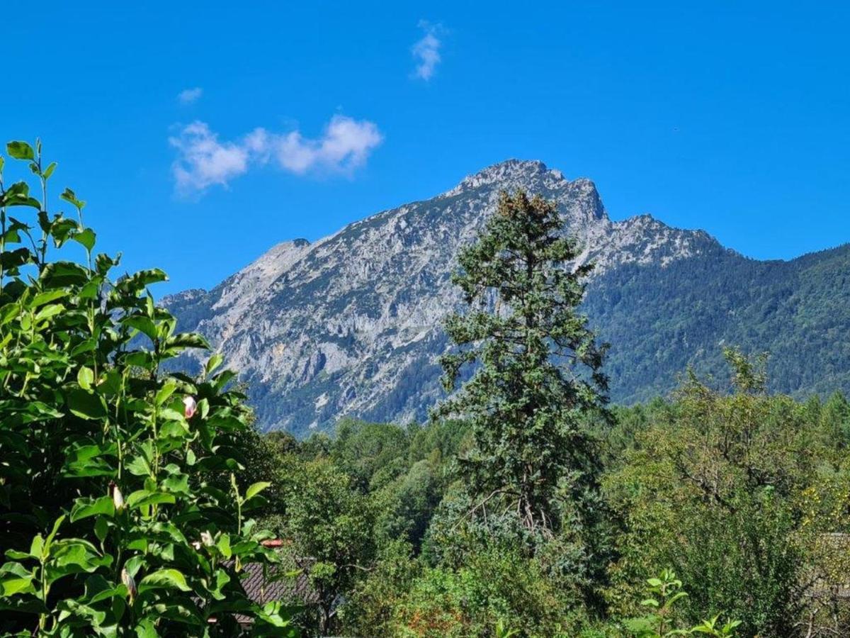 Ferienwohnungen Sommer Bayerisch Gmain Exterior photo